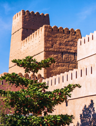 Muscat